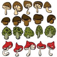 Set of mushrooms in doodle style, different types of mushroom hat boletus vector