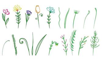 Set of doodle flowers and plants, simple linear plant motifs for design vector