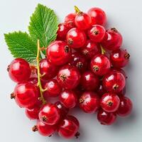 AI generated Red currant berry on a white isolated background - AI generated image photo