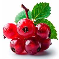AI generated Red currant berry on a white isolated background - AI generated image photo