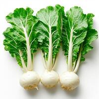 AI generated Kohlrabi vegetable on white isolated background - AI generated image photo