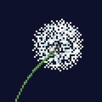 cerca arriba uno blanco diente de león flor. píxel poco retro juego estilizado vector ilustración dibujo. taraxacum officinale. sencillo plano dibujos animados Arte aislado en oscuro azul cuadrado antecedentes.