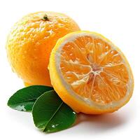 AI generated Fresh lemon on white isolated background - AI generated image photo