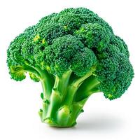 AI generated Fresh broccoli, eco products, ripe vegetables on a white isolated background - AI generated image photo