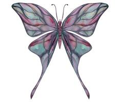 mano dibujado acuarela ilustración mariposa hada alas joya cristal insecto polilla. turmalina perla labradorita ópalo. soltero objeto aislado en blanco antecedentes. diseño imprimir, comercio, boda, cumpleaños vector