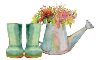 Hand drawn watercolor illustration spring gardening, metal watering can and rubber boots with flowers buds leaves. Composition isolated on white background. Design print, shop, scrapbooking, packaging vector