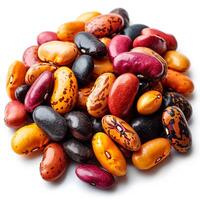 AI generated Multicolored beans, many different varieties of legumes, isolated white background - AI generated image photo