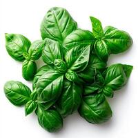 AI generated Basil leaf lying on a white background. Top view of green basil leaves collection - AI generated image photo