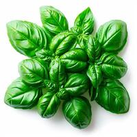 AI generated Basil leaf lying on a white background. Top view of green basil leaves collection - AI generated image photo