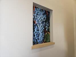 A picture of blueberry branch on a tree taken in Sterling Vineyards at Napa California photo