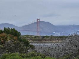 View of Golden Gate Bridge at a foggy day with a container barge passing by photo