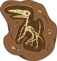 Dinosaur fossil skeleton in the soil, archeological excavation cartoon style vector