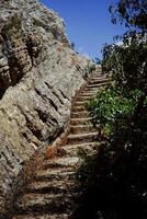 ancient stone steps carved into the rock surrounded by Mediterranean trees photo