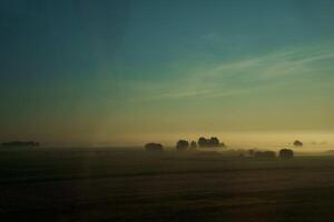 arboles en un campo envuelto en niebla a amanecer desde un autobús ventana foto