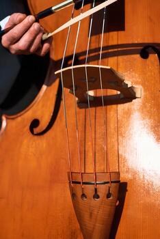el doble bajo instrumentos de cuerda emitir un sombra en el suave superficie de el instrumento foto