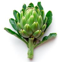 AI generated Green French artichoke, white isolated background - AI generated image photo