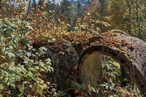 Segments of a huge concrete pipe covered in moss in the forest photo