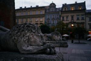 Statues of lions on the main square of Krakow in the evening photo