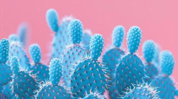 ai generado brillante azul cactus plantas en contra un rosado antecedentes. generado por artificial inteligencia. foto