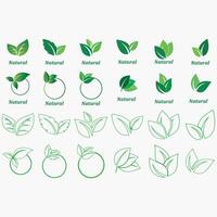 Collection of leaf logos vector