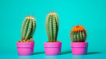 AI generated Three cactus plants on a blue background. Generated by artificial intelligence. photo
