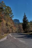 asfalto la carretera en medio de montañas y otoño bosque foto