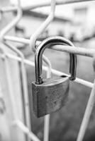 Padlock on a fence photo