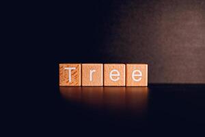 Wooden blocks form the text Tree against a black background. photo