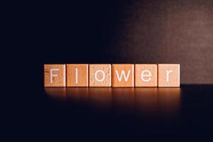Wooden blocks form the text Flower against a black background. photo