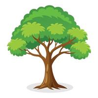 Amla tree Isolated flat vector illustration