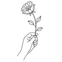 Hand holding a flower continuous line art vector illustration