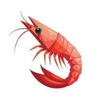 Shrimp triangle shape vector illustration