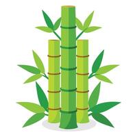 Bamboo tree part of bamboo Isolated flat vector illustration