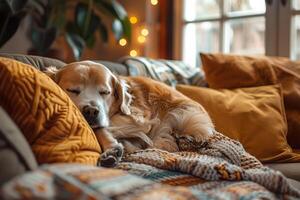 AI generated A charming dog napping peacefully on a couch, surrounded by plush cushions and a warm knitted blanket. Generative AI. photo