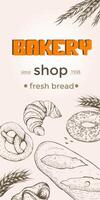 Bakery shop background template. Linear graphic. Bread and pastry collection. Bread house. Vector illustration. Vintage engraving sketch