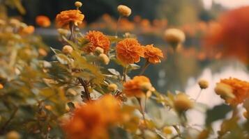 AI generated Autumn Yellow soft color flowers in the garden photo