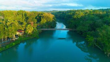 hanging bridge landscape photo