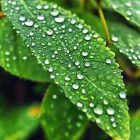 AI generated dew drops on the leaves photo