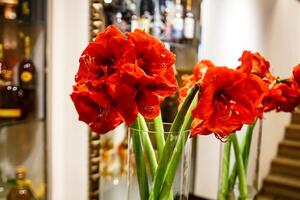 Red flowers in a vase reflected in the mirror, it's funny. photo