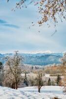 Winter landscape of field with mountains photo