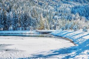 View on the lake in mountains photo