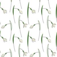 Snowdrops flowers spring seamless pattern repeating background hand drawn flat vector illustration. Texture ornament with glade forest flower plants for wrapping banner flyer card print paper textile