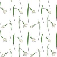 Snowdrops flowers spring seamless pattern repeating background hand drawn flat vector illustration. Texture ornament with glade forest flower plants for wrapping banner flyer card print paper textile