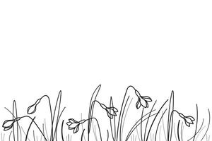 Field with wildflowers snowdrops plants ink sketch hand drawn banner white background vector illustration. Design  floral pattern with black line silhouette of glade snowdrops flowers, spring texture