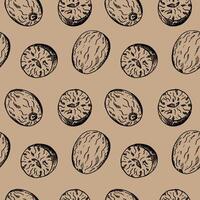 Nutmeg sketch seamless pattern engraved hand drawn vector illustration repeating background with nuts. Backdrop Mace plant, spicy nut design rapport for cooking, medicine, perfumery for textile, print