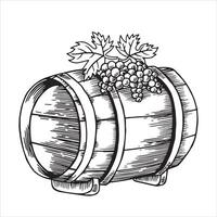 barrel with wine and grapes. black and white drawing in sketch style, engraving. winemaking vector
