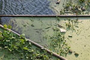 Garbage such as foam boxes, milk boxes, plastic bags, leaf debris are thrown into the river. Which may cause pollution, resulting in unclean air, river water will spoil. photo