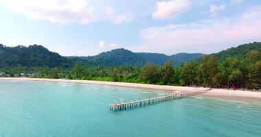 Aerial drone view of the tropical beach with clear turquoise sea, white sand and palm tree video