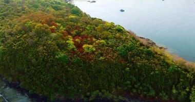 Antenne Drohne Aussicht von das felsig Küste Kap mit bunt Bäume und klar Türkis Meer video