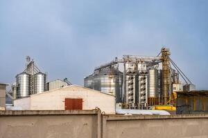 agroindustrial complejo con silos y un semilla limpieza y el secado línea para grano almacenamiento en nieve de invierno campo foto